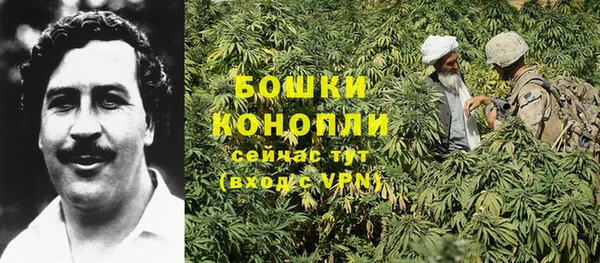 прущие крисы Балабаново