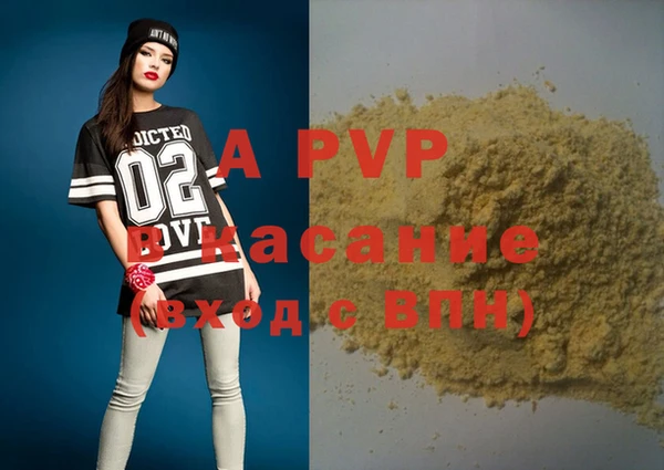 индика Покров